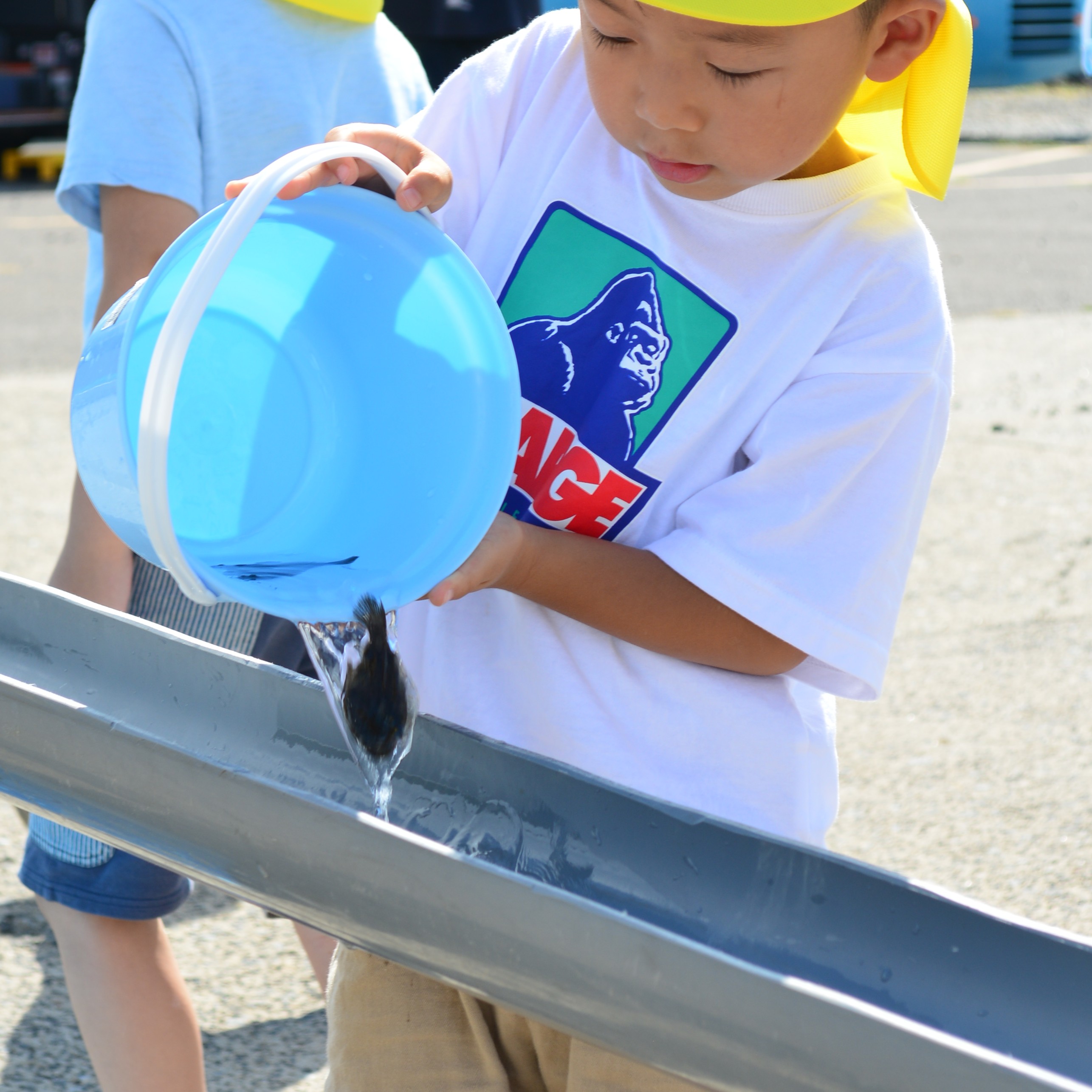 せたなの子どもたち